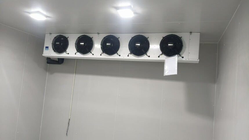 1772437113128199.jpg 1772437113128199.jpg