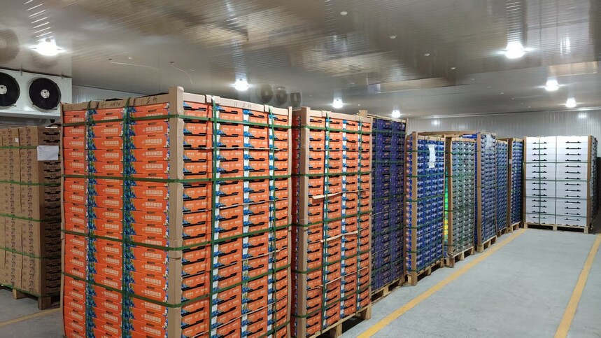 1773642662648262.jpg 1773642662648262.jpg