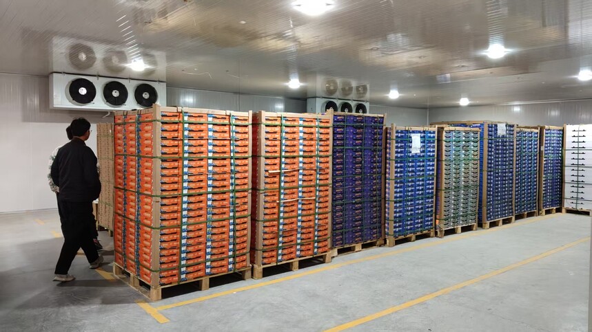 1773642734791347.jpg 1773642734791347.jpg