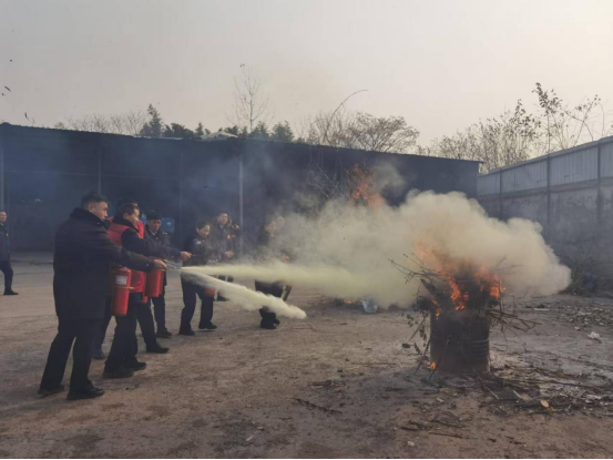 1765527693636881.png image.png