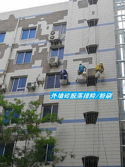 20180716230954_6327_zs_sy.jpg