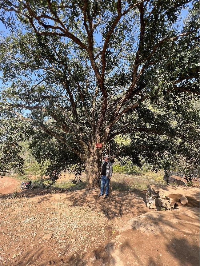 1686711957615003.png 图片2.png