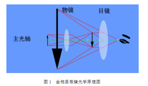 金相显微镜的构造及使用
