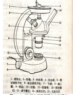 金相显微镜使用介绍