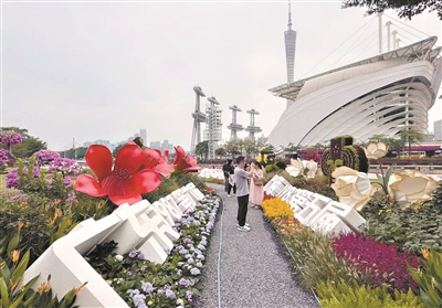 1761790202549607.jpg 10516109.jpg