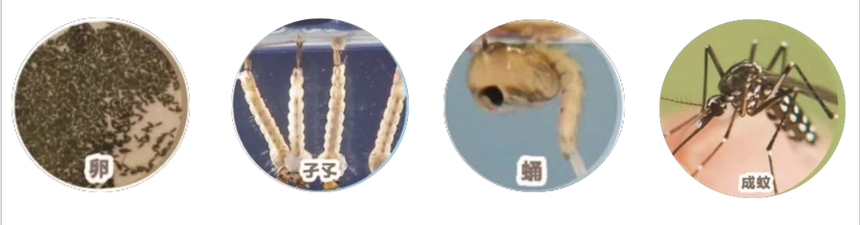 640 (1).png