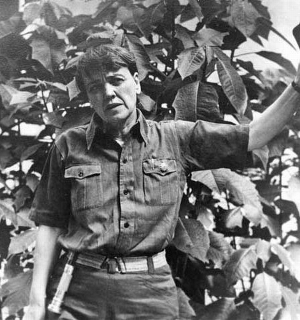 萧红和史沫特莱的三段来往(萧红研究/袁培力)