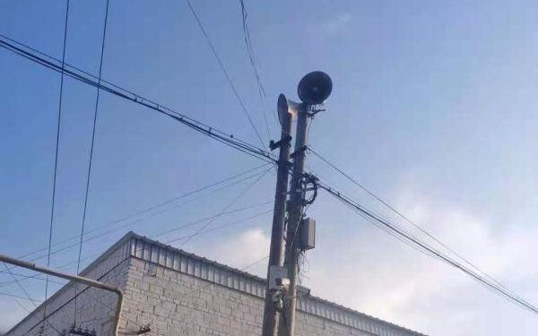 5055753503658654837.jpeg