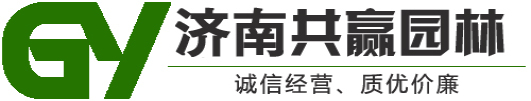 造型松