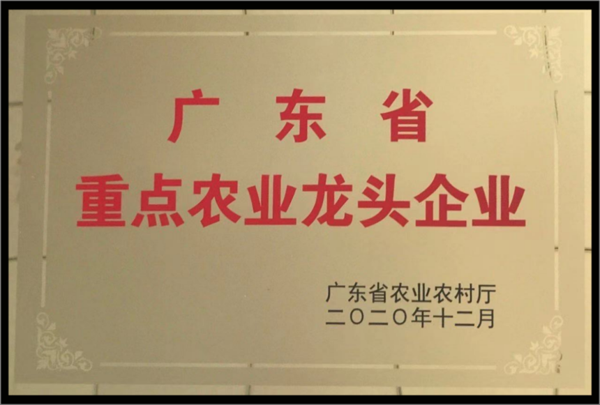 1734190550401967.png