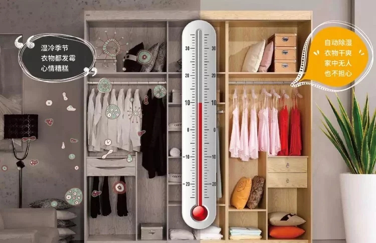 t012a13a3a5b500b055.webp.jpg