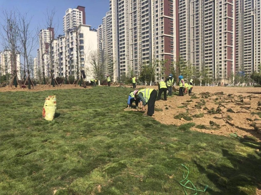 1558583113241012.jpg 640.webp (1).jpg