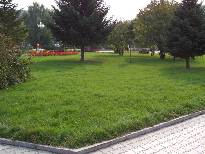 1558583721392679.jpg timg (2).jpg