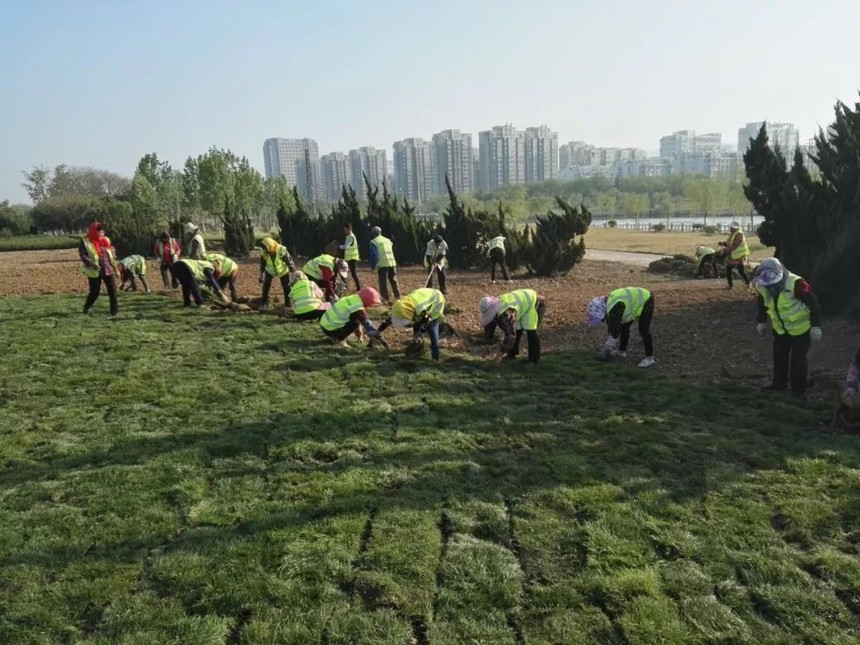 1558583730116726.jpg 640.webp.jpg