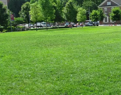 1558929404484560.png 微信截圖_20190527115539.png