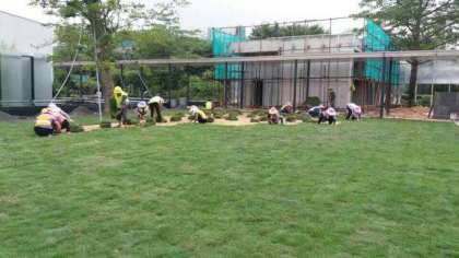 1568950491418081.jpg 11348839_1552563962.jpg