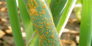 1570507302807875.png 微信截圖_20191008120048.png