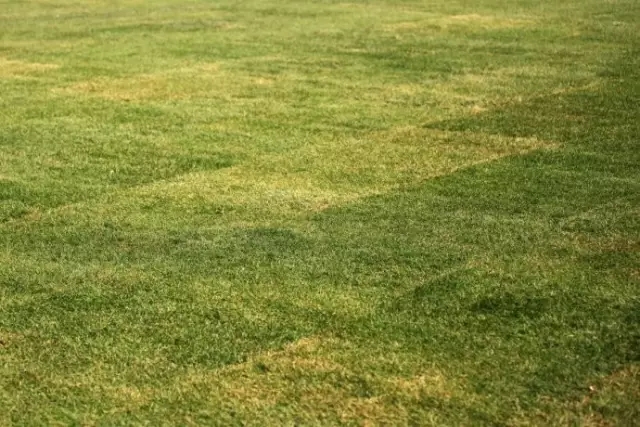 1570678351551750.jpg 640.webp (5).jpg