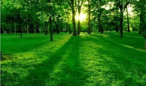 1575259155264383.jpg QQ截圖20191202115348.jpg