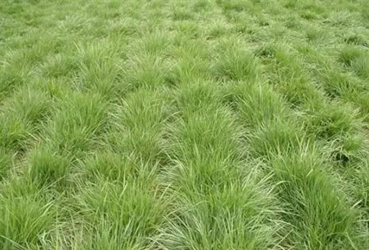 1576035909574462.jpg QQ截圖20191211114356.jpg