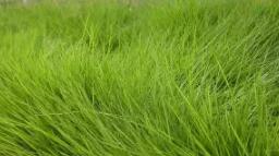 1607913286323208.jpg QQ截圖20201214103006.jpg