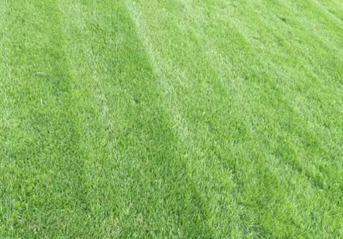 1623400546896819.jpg QQ截圖20210611163439.jpg