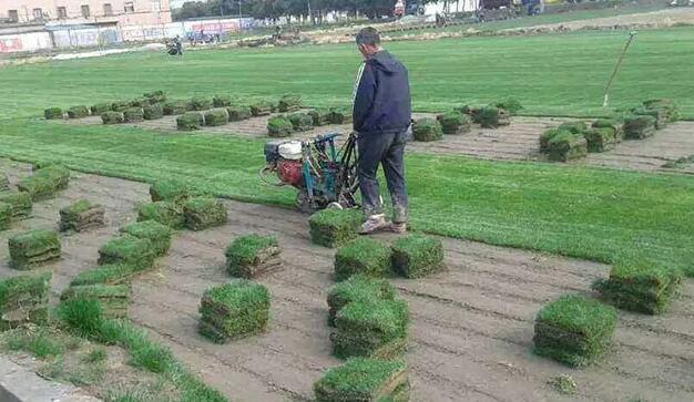 1635473778399060.jpg QQ截圖20211029101300.jpg