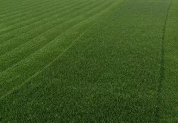 1637824008633256.jpg QQ截圖20211125150448.jpg