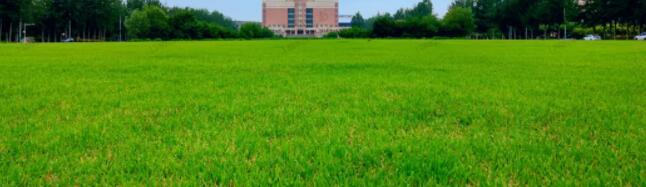 1640672931971275.jpg QQ截圖20211228142750.jpg