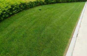 1649645000739241.jpg QQ截圖20220411103919.jpg