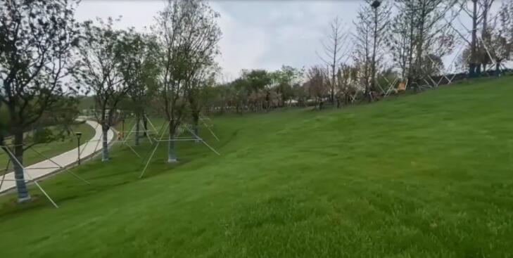 1653880327325640.jpg QQ截圖20220530111104.jpg