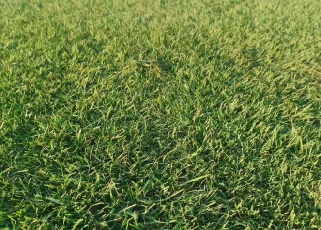 1654484943575653.jpg QQ截圖20220606110640.jpg