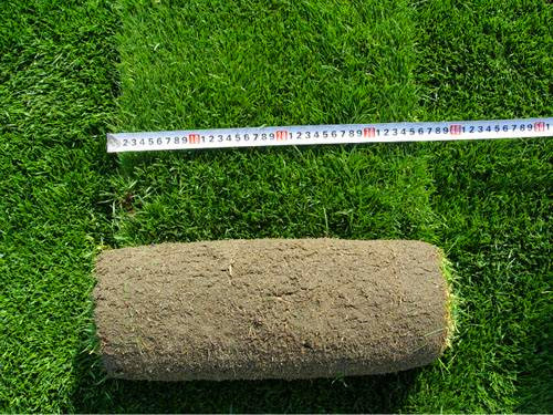 1729478217437158.jpg timg (1).jpg