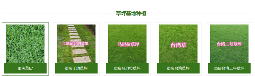 1753234652909785.png QQ截圖20250723094400.png