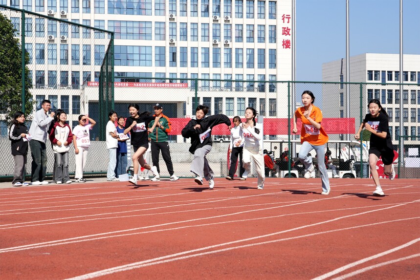 DSC06979.jpg