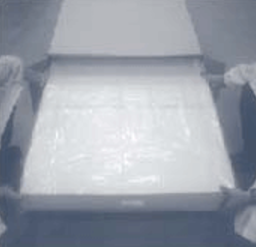 blob.png