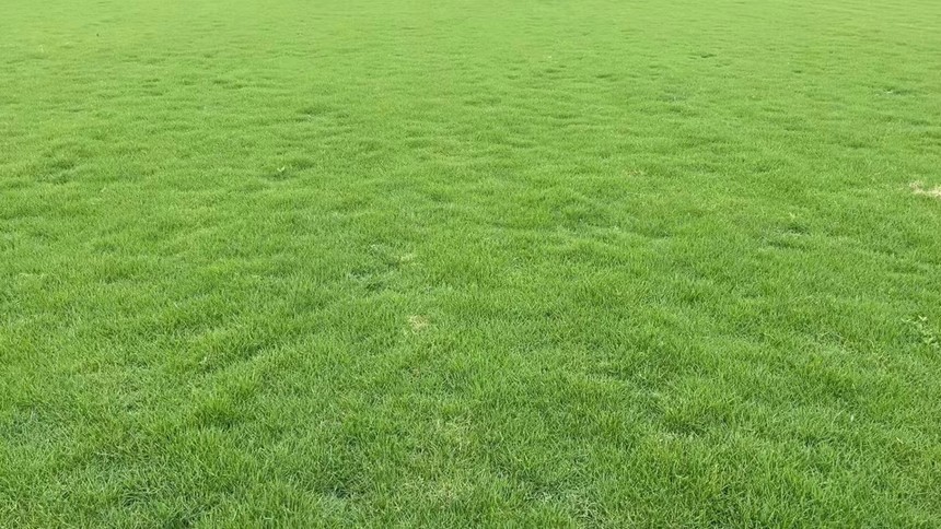 ΢��ͼƬ_202206191537392.jpg