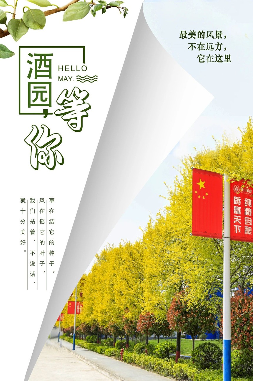 微信图片_20200527080346.jpg