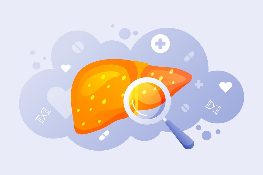 liver-8326901_1280.jpg