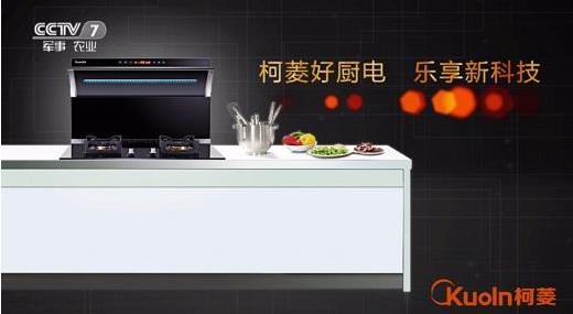 分体式集成灶 分体式集成灶