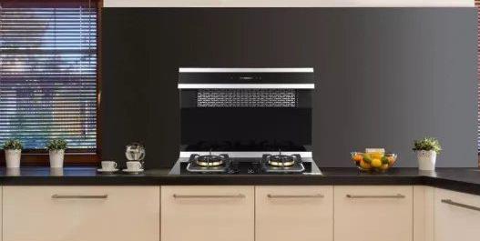 分体式集成灶 分体式集成灶