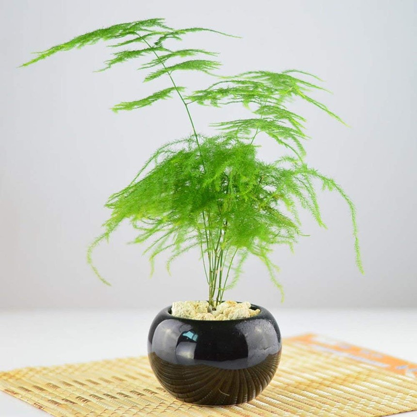 ݾGֲU