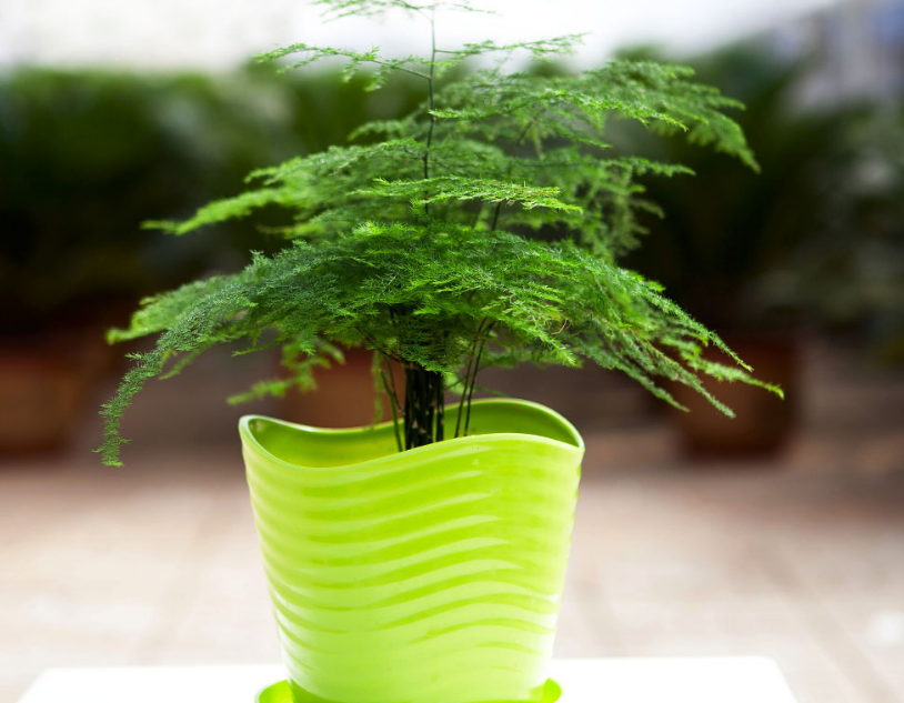 ݾGֲU
