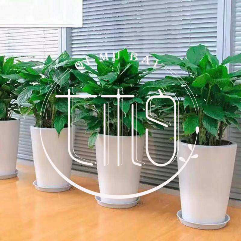 ݾGֲU