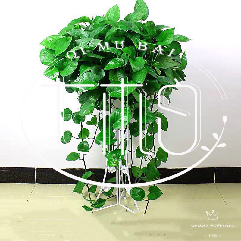 ݾGֲU