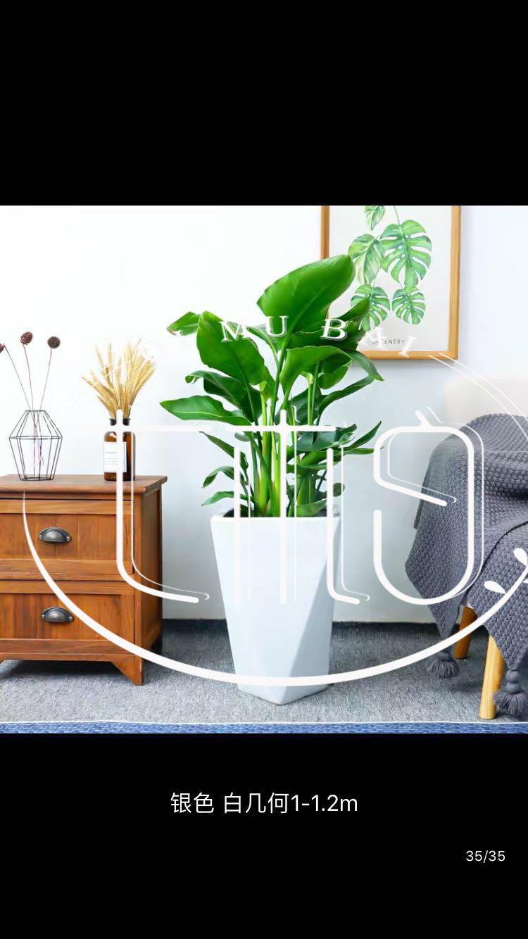 ݾGֲU