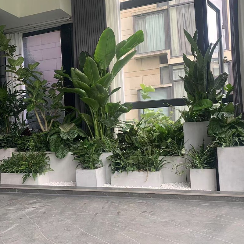 1761300071703449.jpg 056.jpg