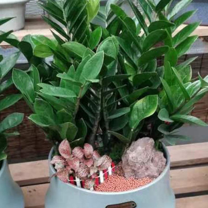 1761300084252924.jpg 046.jpg