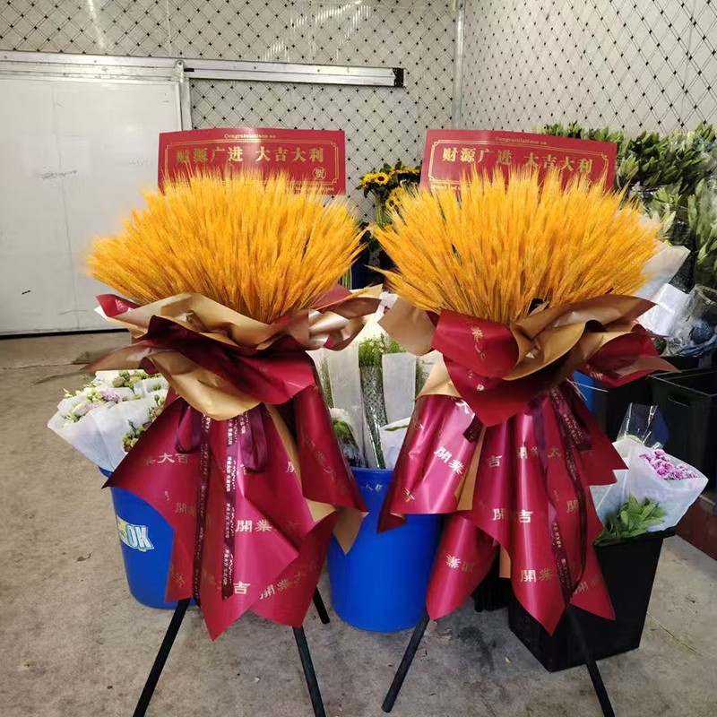 1762586070582481.jpg 01.jpg