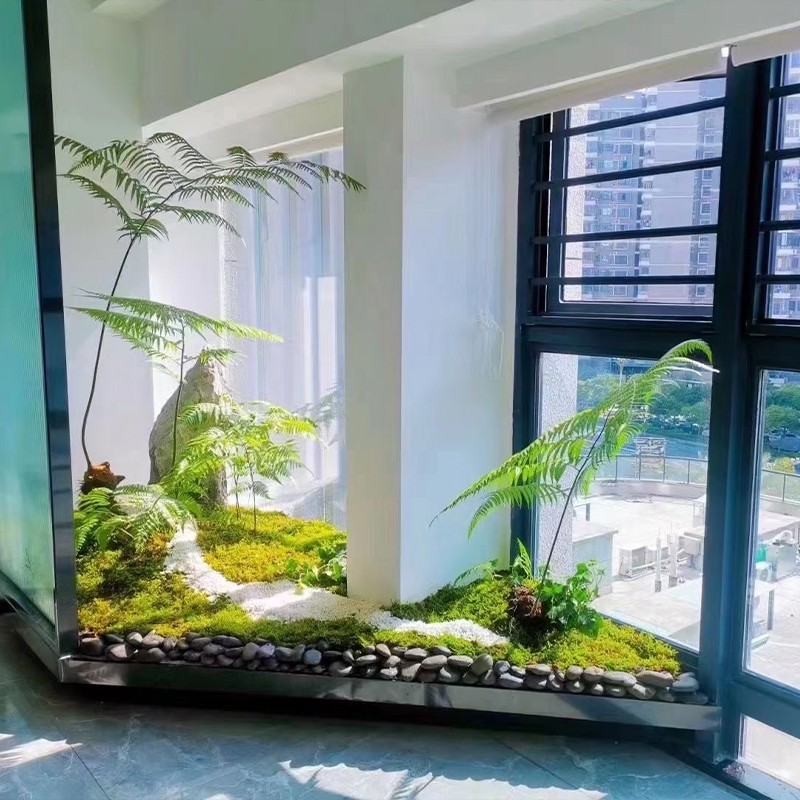 1762586555640642.jpg 002.jpg